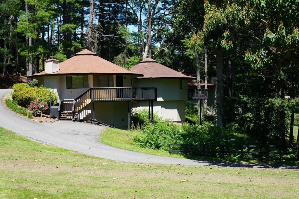 Two cedar-roofed octagonal villas set among tall pines