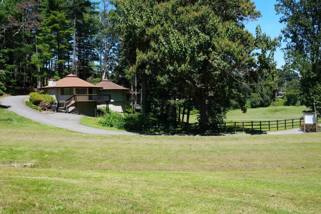 Cedar-roofed villas among tall pines
