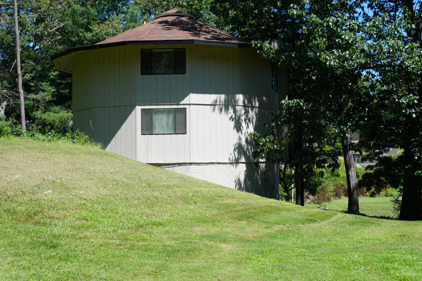 A cedar-roofed villa among the pines